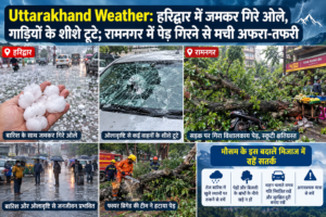 Uttarakhand Weather: हरिद्वार में जमकर गिरे ओले, गाड़ियों के शीशे टूटे; रामनगर में पेड़ गिरने से मची अफरा-तफरी